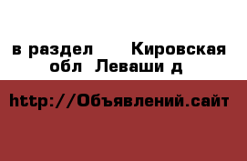  в раздел :  . Кировская обл.,Леваши д.